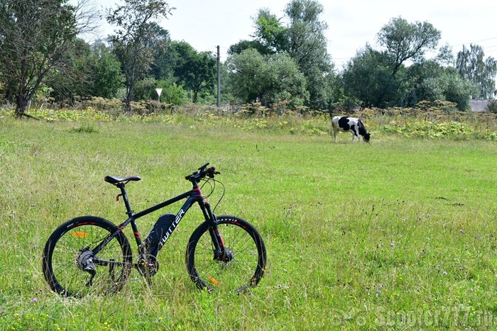 Велосипед и корова